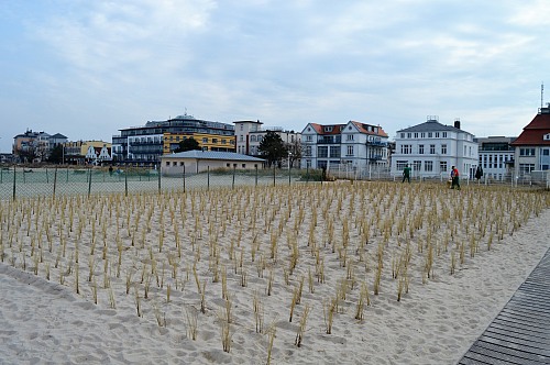 Warnemünde
Planting of beach grass at Warnem&uuml;nde beach<br />
Coastline - Beach, Tourism, Public area/Beach, Coastal Defence
Svenja Höft, EUCC-D